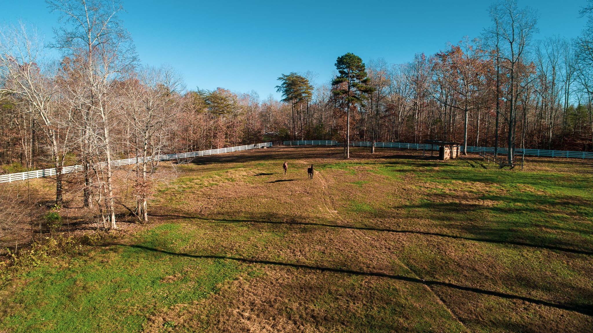 110 acres of Virginia countryside